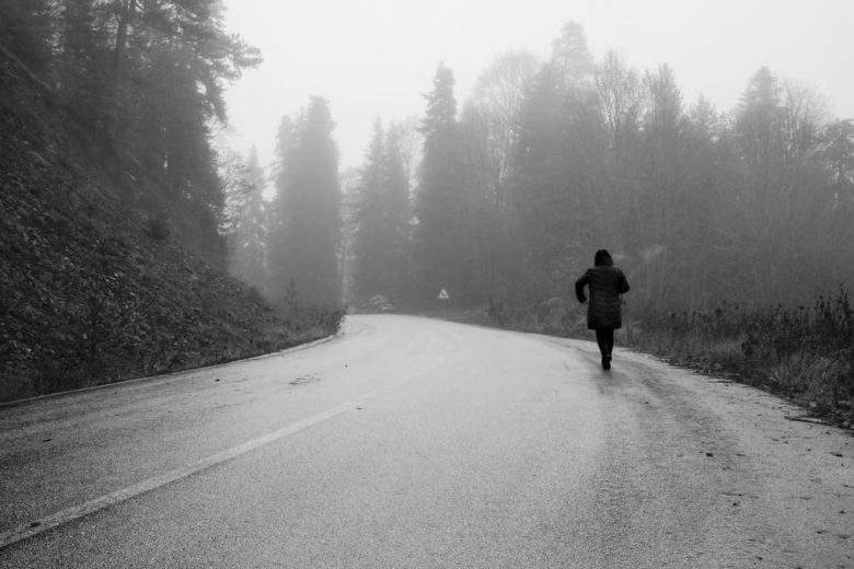 A lone figure walks down a foggy road in a forest in Bolu, Türkiye, creating a mysterious atmosphere.